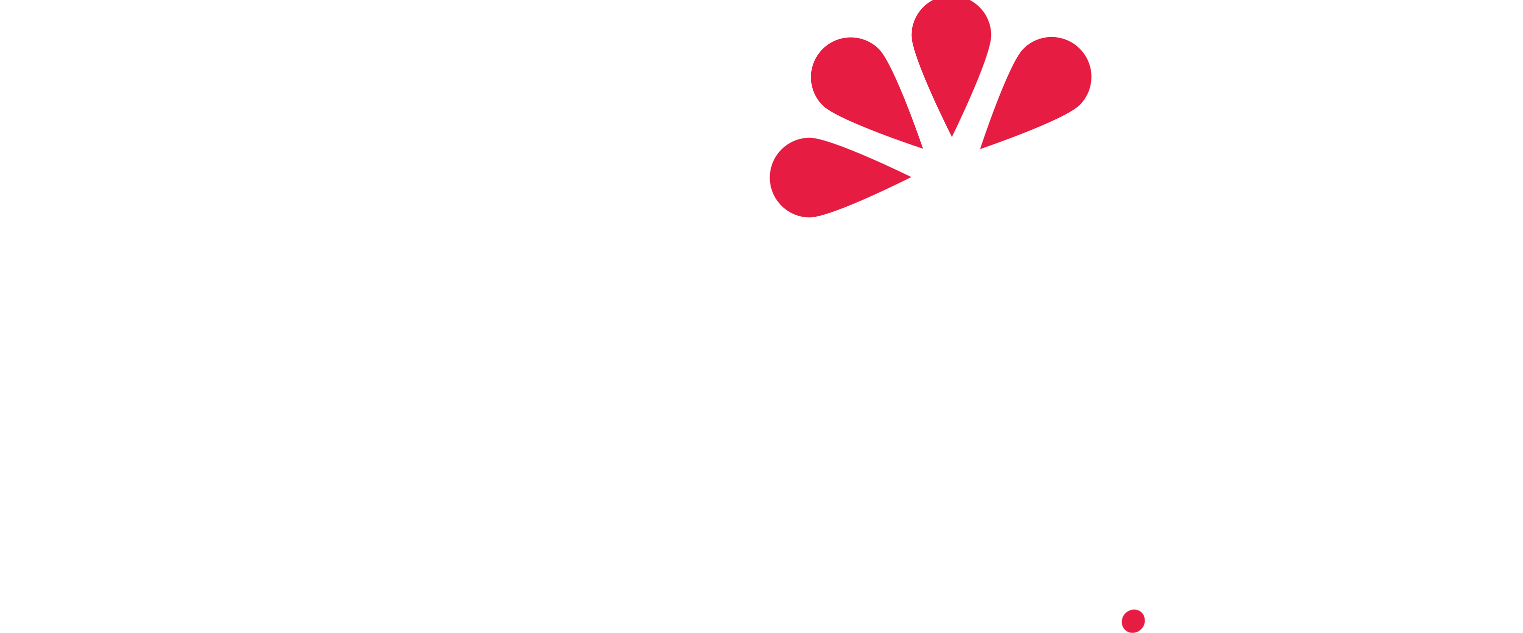 Zakito.Venzi
